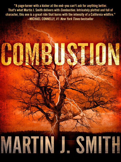 Title details for Combustion by Martin J. Smith - Wait list